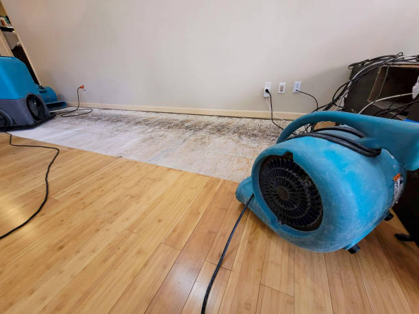 Professional Sewage Cleanup technician working in Lenni, PA